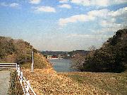 �_���̗l�q