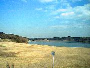 �_���̗l�q