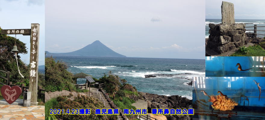 鹿児島県　南九州市　番所鼻自然公園