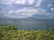 �э]�p�ɕ����ԍ���