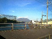 �J�R�������猩������